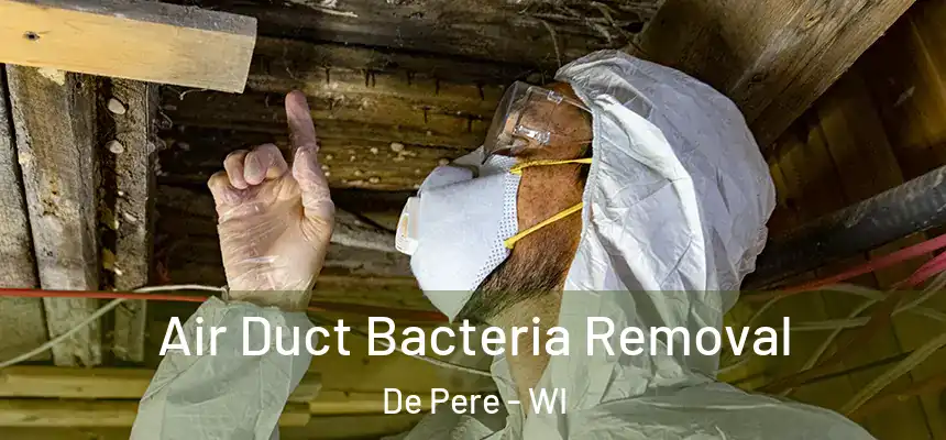  Air Duct Bacteria Removal De Pere - WI