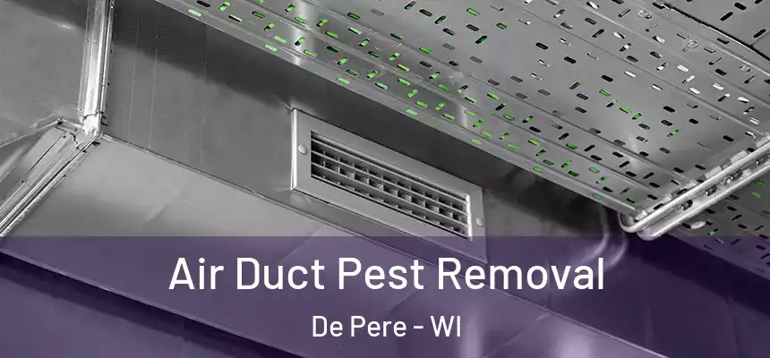 Air Duct Pest Removal De Pere - WI
