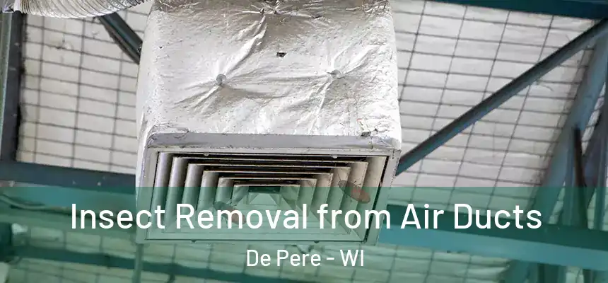 Insect Removal from Air Ducts De Pere - WI
