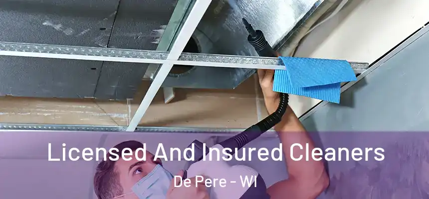 Licensed And Insured Cleaners De Pere - WI