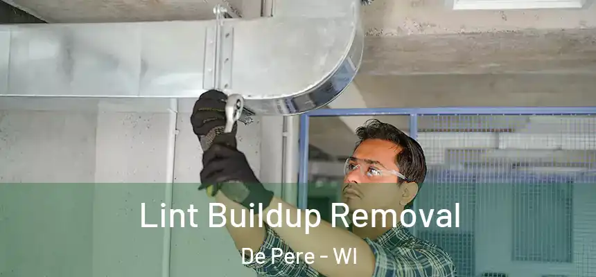 Lint Buildup Removal De Pere - WI