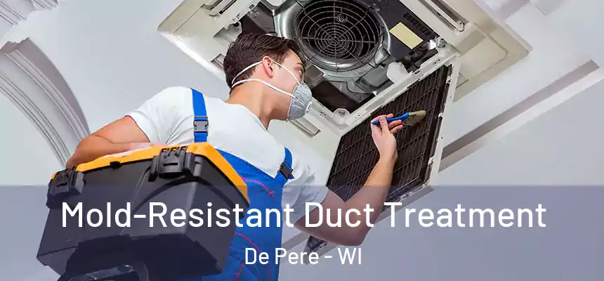  Mold-Resistant Duct Treatment De Pere - WI