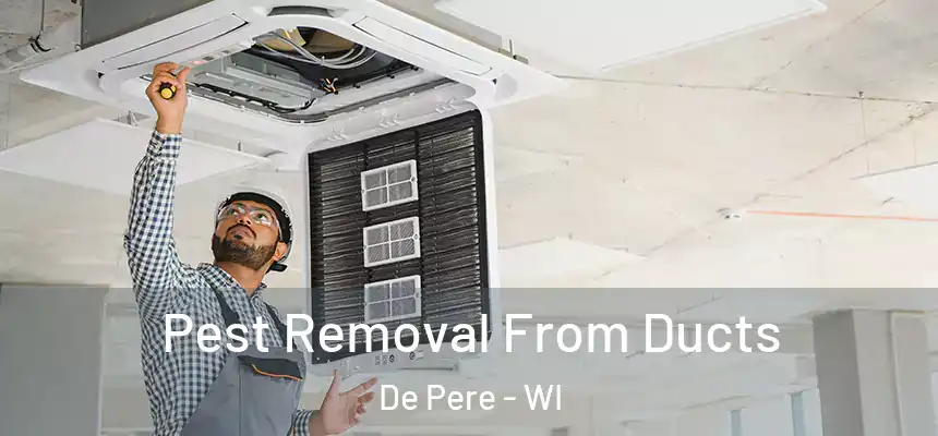  Pest Removal From Ducts De Pere - WI