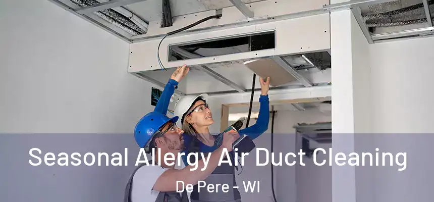 Seasonal Allergy Air Duct Cleaning De Pere - WI
