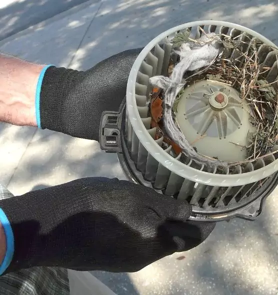 About Air Duct Rat Removal in De Pere, WI