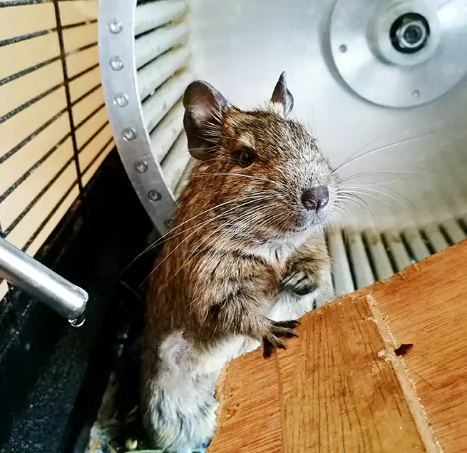 Why Homeowners & Businesses Trust Us De Pere, WI